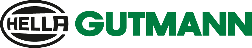 Hella Gutmann Diagnose Ferwert